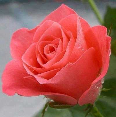 Adelin, blonda fermecatoare din Pitesti, gata sa te cucereasca