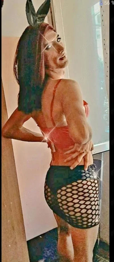 Descopera singura escorta premium din Zalau