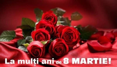 Escorta plina de farmec din Sector 4 – Monica te asteapta