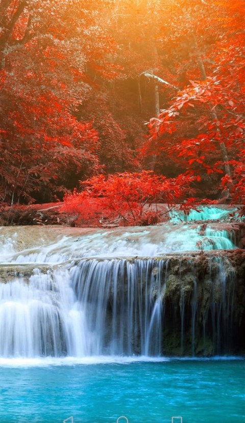 Experienta Exclusiva Cu O Domnisoara Atractiva In Sector 6